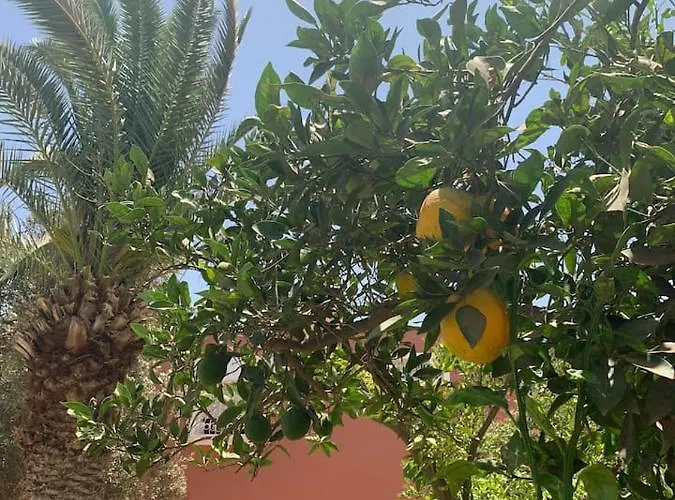 Villa Sherazade Agadir, Petit Dejeune Offert